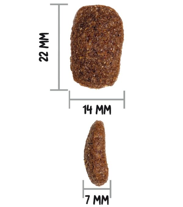 image taille croquette CHIEN CLASSIC COMPLET POULET TAILLE CROQUETTES