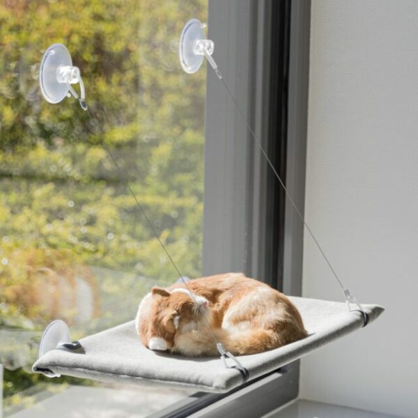 Jouet Détente de Luxe – Image 4