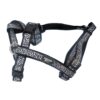 Sellerie Basique XL – Image 2
