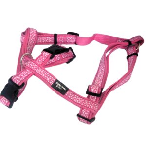 Sellerie Basique XL – Image 3