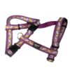Sellerie Basique XL – Image 4