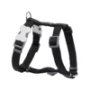 Sellerie de Dressage – Image 6