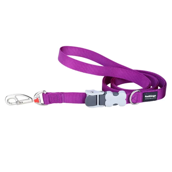 Sellerie Basique XL – Image 6