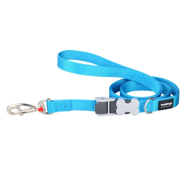Sellerie Basique XL – Image 5