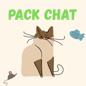 pack chat